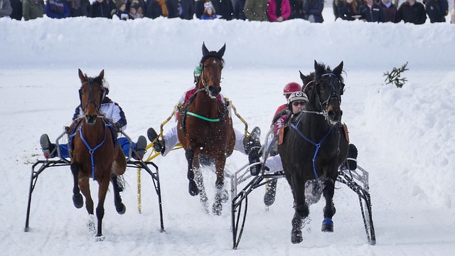 喜爱与共鸣 喜爱与共鸣
