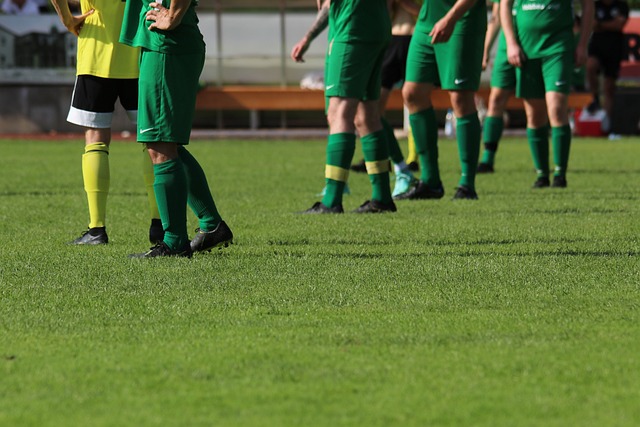 文化的平台 文化的平台