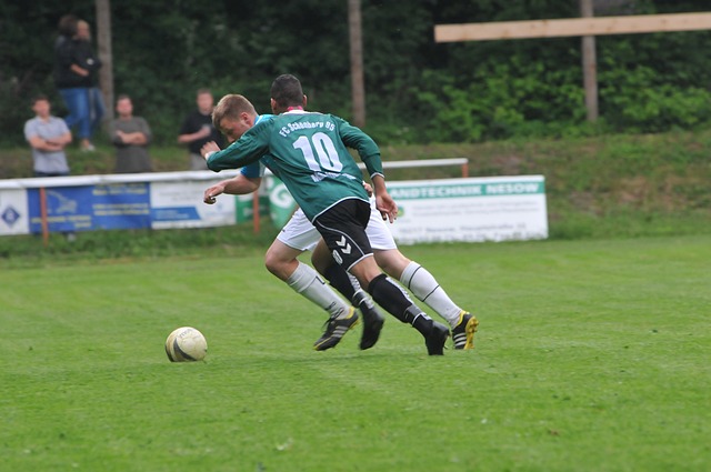 过度依赖某 过度依赖某