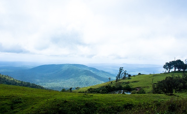 们带来更多 们带来更多