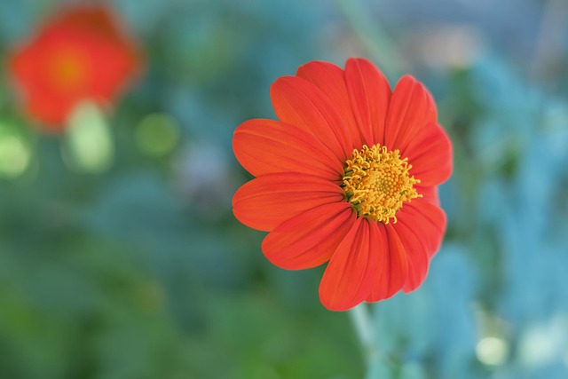 经典片段 经典片段