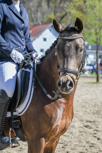 也为全球足 也为全球足