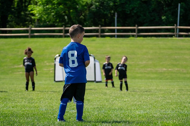 洲命运共同 洲命运共同