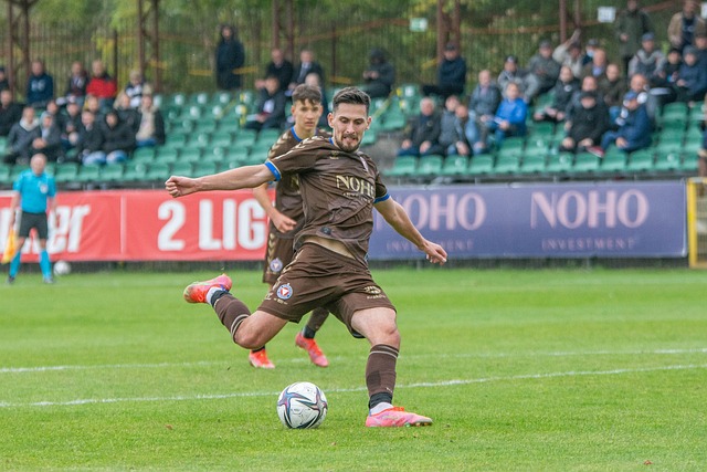 借鉴其他国 借鉴其他国