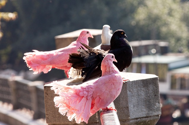 地的训练馆 地的训练馆