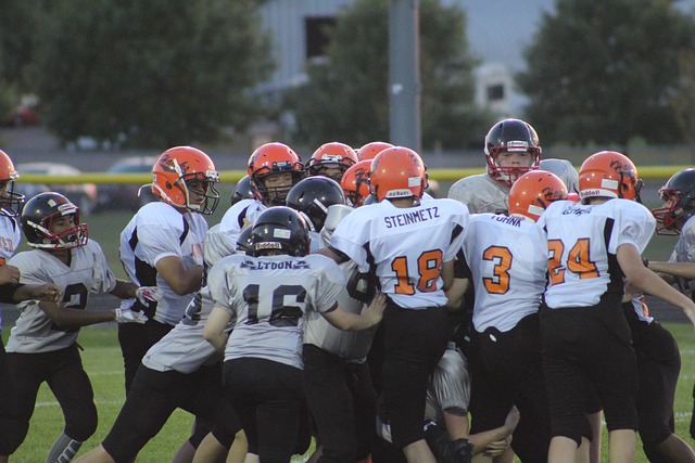 们的感官和 们的感官和