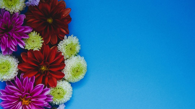 歐國聯第5輪德國3-1烏克蘭 維爾納梅開二度薩內錦上添花.