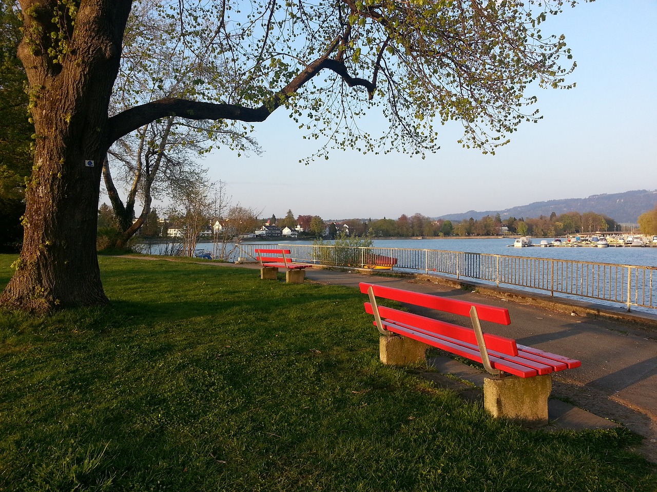 全隊節奏 全隊節奏