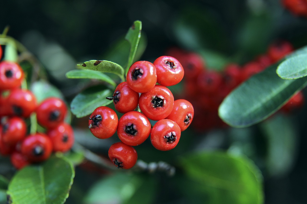 推行健康互 推行健康互