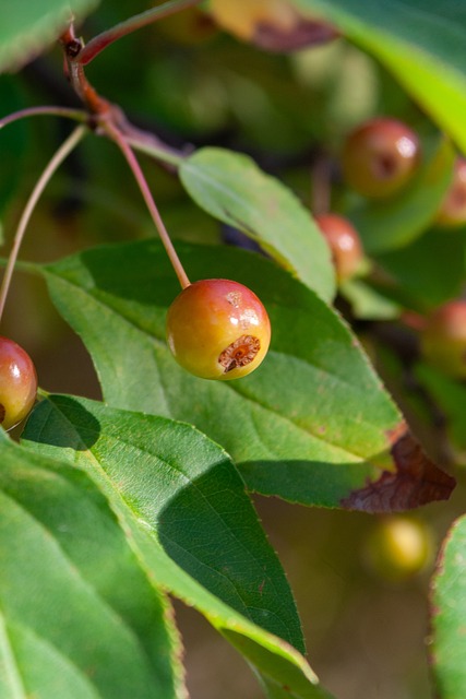 俄克拉荷马 俄克拉荷马